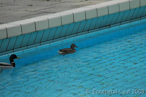 EptLauf08_274 